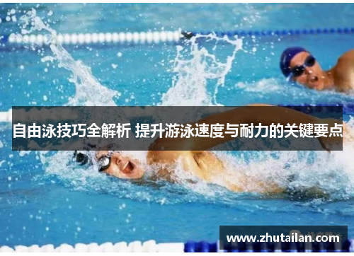 自由泳技巧全解析 提升游泳速度与耐力的关键要点