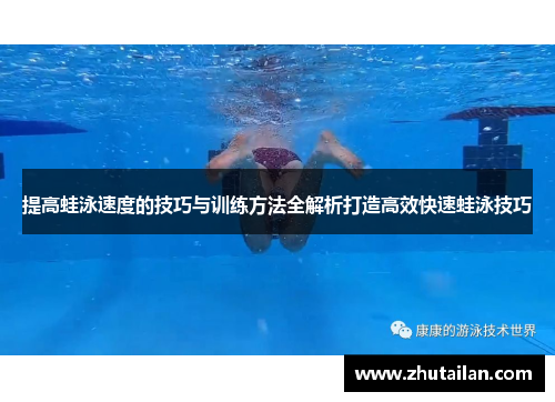 提高蛙泳速度的技巧与训练方法全解析打造高效快速蛙泳技巧